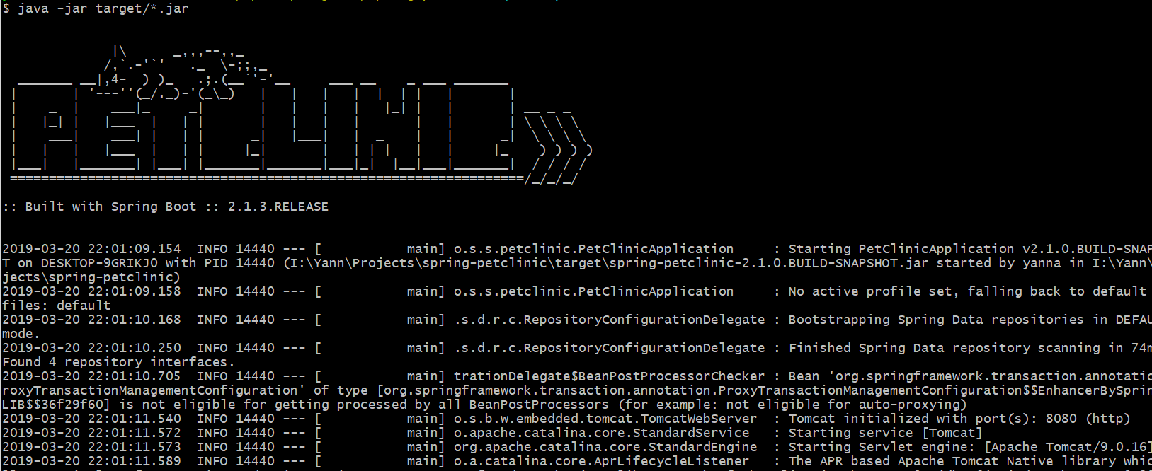 "PetClinic application execution on the command line"