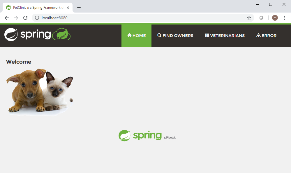 "PetClinic Web application"